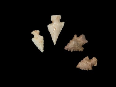 Grouping of 4 Bird Points found in Missouri