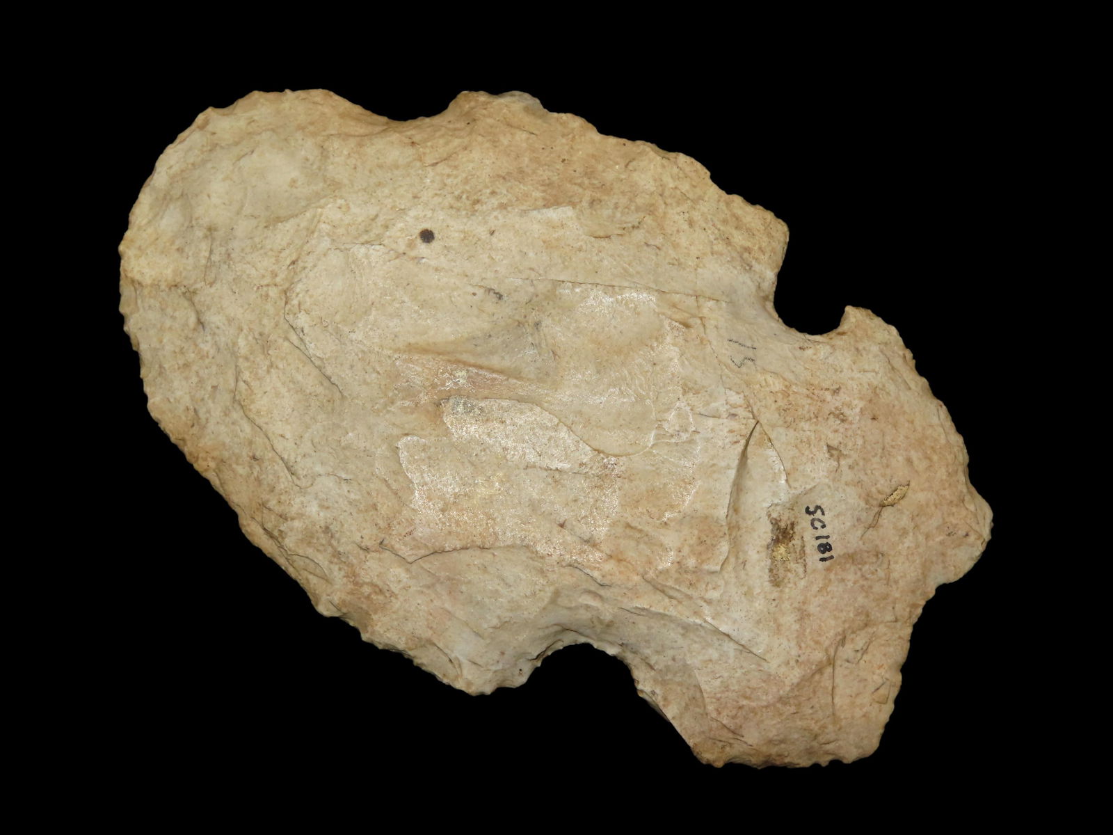 6 1/2" Notched Hoe Found in St. Clair Co. Illinois (1 of 9)