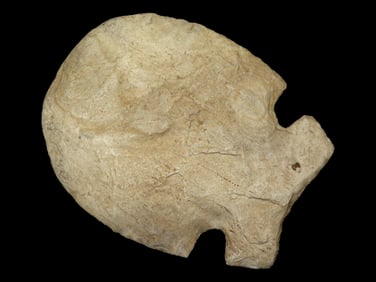 5 1/4" Notched Hoe, Davis COA, Found in Illinois