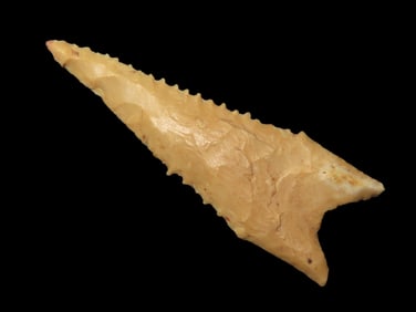 2 5/8" Serrated Dalton, found in Craighead Co., Arkansas, Ex. Sean Rosenthal