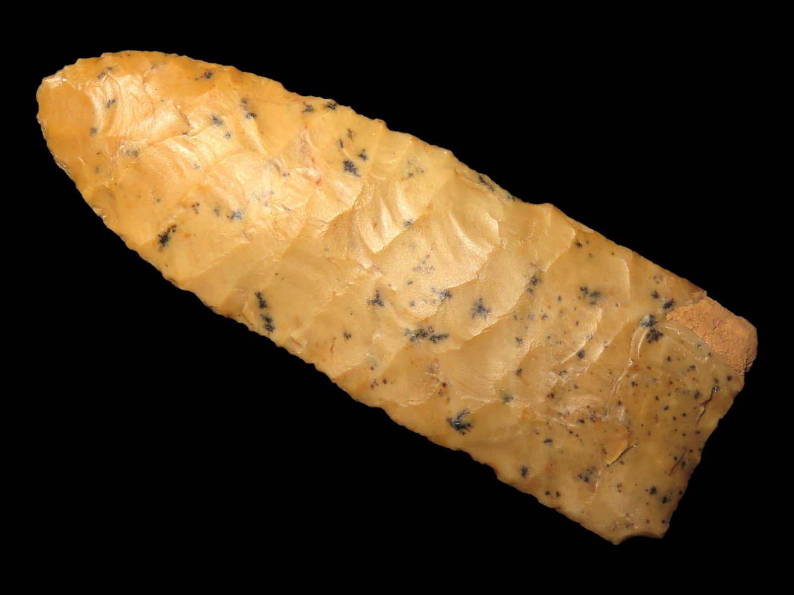 2 1/8" Andersen, Stermer COA, Morrill County, Nebraska, Minor restoration to the base (1 of 7)