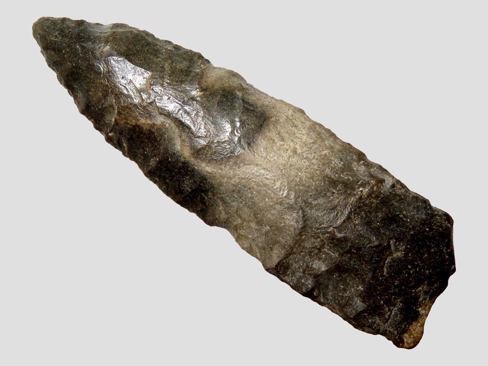 2 13/16" Great Basin Cody Complex, Stermer COA, Great Basin region of California, Nevada, and (1 of 7)