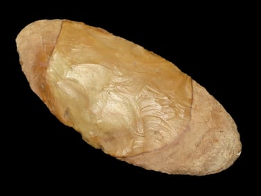 5 1/4" Early Ovoid, found in Southern Illinois, Wafer Thin, Amazing Example