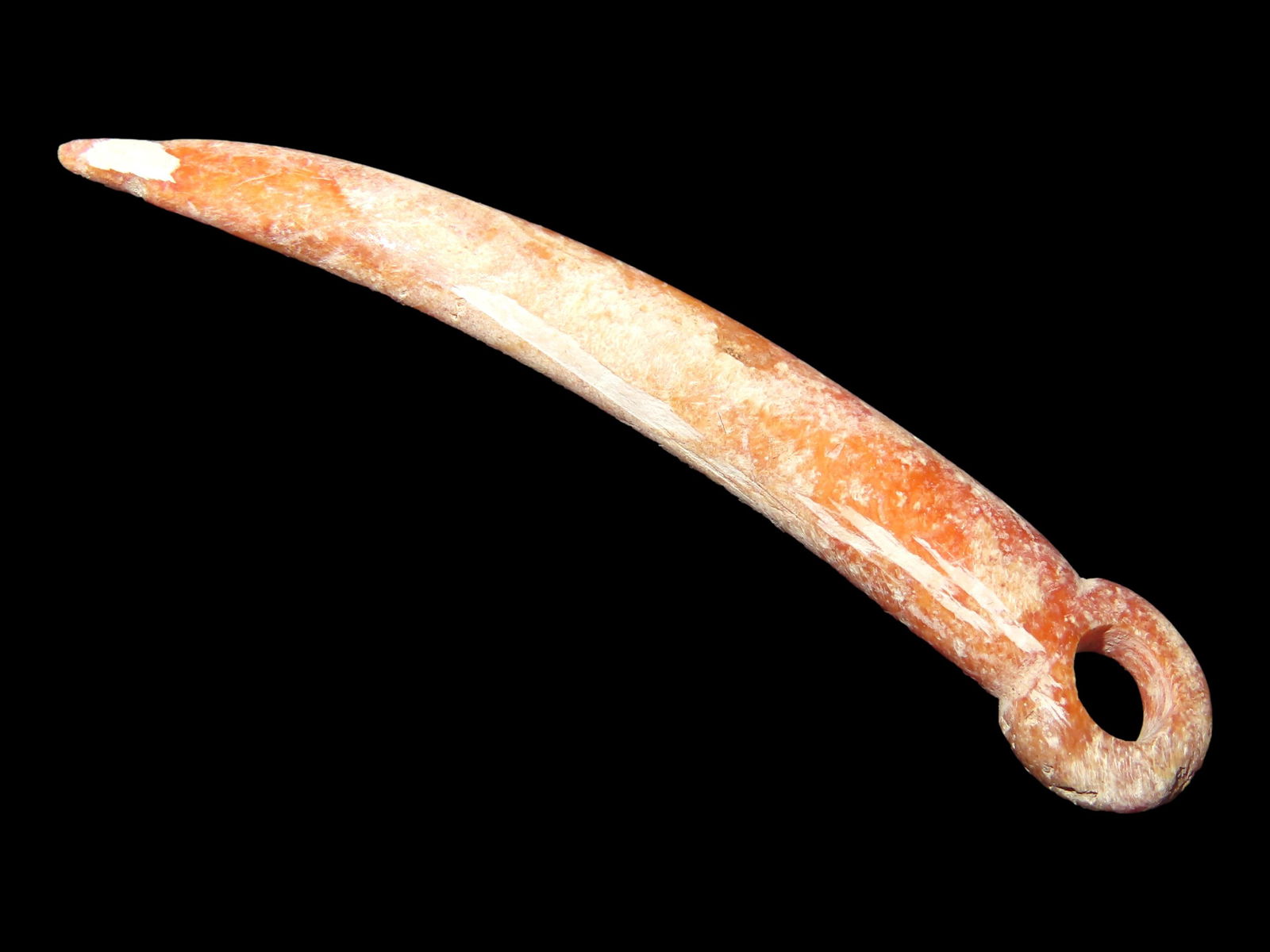 2 1/4" Drilled Shell Needle Pendant (1 of 6)