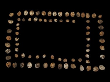 12 1/8" Pre-Columbian Strand of Beads Shell, Possibly Bone