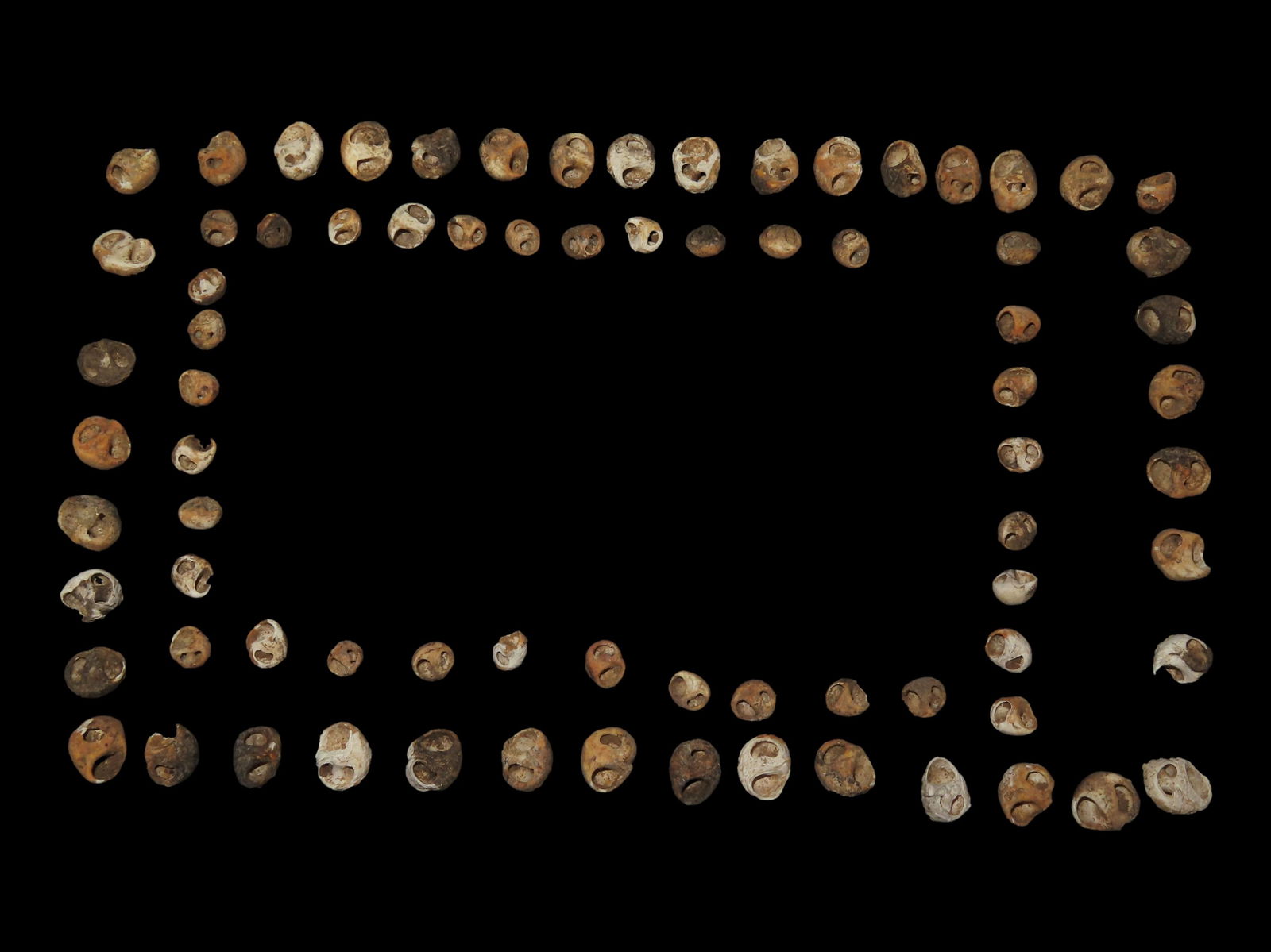 12 1/8" Pre-Columbian Strand of Beads Shell, Possibly Bone: 12 1/8" Strand of Beads Shell, Possibly Bone