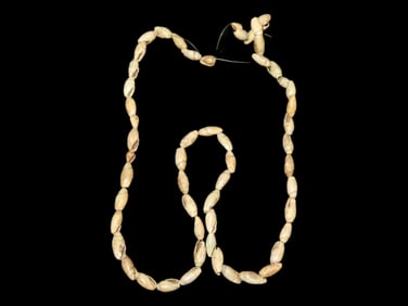 27" Strand of Shell Beads