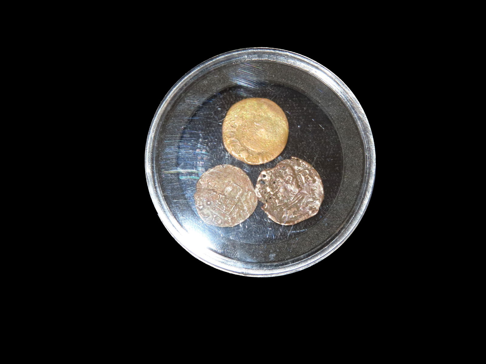 Grouping of 5 Nodenas found in Southern Illinois: Grouping of 5 Nodenas found in Southern Illinois