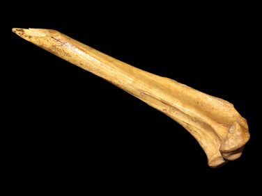4 3/4" Bone Awl Found in Spencer Co. Indiana, Ex Chalmer Lynch