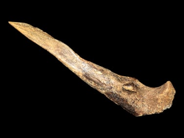 5 1/2" Trigger Awl From Saline Co. Illinois, Ex Joe Poirot Collection