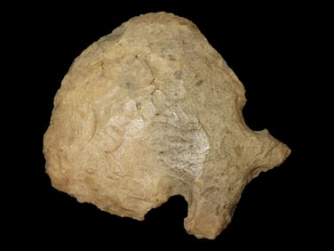 5 1/2" x 5 1/4 Notched Hoe Found in St. Clair Co. Illinois