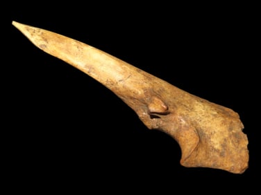 4 3/4" Trigger Awl Found at the Black Earth Site in Saline Co. Illinois by Glenn Quinn