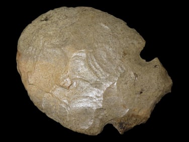 5 3/4" x 4 3/8" Notched Hoe Found in St. Clair Co. Illinois