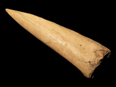 4" Bone Awl found at the Black Earth Site in Saline Co. Illinois by Glenn Quinn