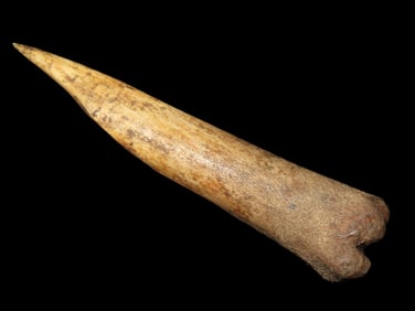 4 1/4" Bone Awl Found in the Black Earth Site in Saline Co. Illinois by Glenn Quinn