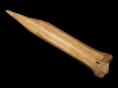 5 1/2" Bone Awl Found at the Black Earth Site in Saline Co. Illinois by Glenn Quinn