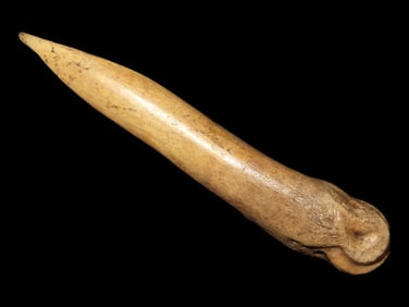 4 3/4" Bone Awl Found at the Black Earth Site in Saline Co. Illinois by Glenn Quinn