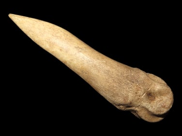 4 1/16" Bone Awl found at the Black Earth Site in Saline Co., Illinois by Glenn Quinn