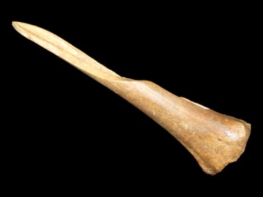 4 1/4" Bone Awl found at the Black Earth Site in Saline Co., Illinois by Glenn Quinn