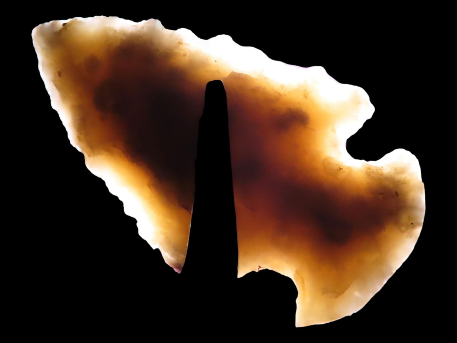 1 1/2" Miniature Dovetail Found in Southern Illinois (1 of 6)