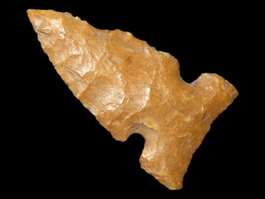 7/8" Bird Point found in Southern Illinois