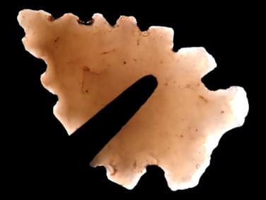 1" Serrated Bird Point Found in Southern Illinois