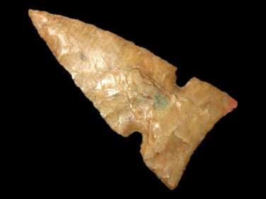1 1/8" Bird Point Found in Southern Illinois