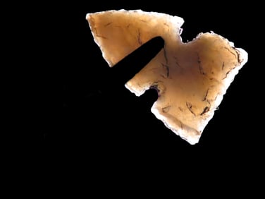 1'' & 1 1/2'' Translucent Bird Points found in Southern Illinois