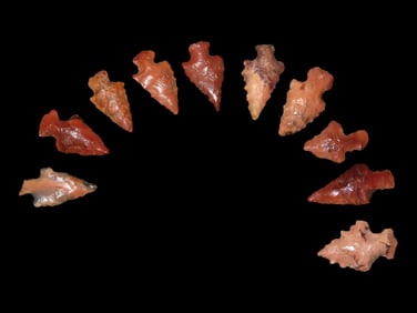 Grouping of 10 Beautiful Bird Points found in Southern Illinois, Great Colorful Examples!