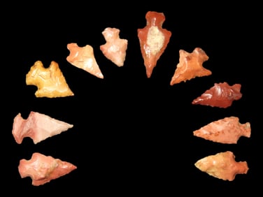 Grouping of 10 Beautiful Bird Points found in Southern Illinois, Great Colorful Examples!