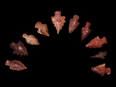 Grouping of 10 Beautiful Bird Points found in Southern Illinois, Great Colorful Examples!