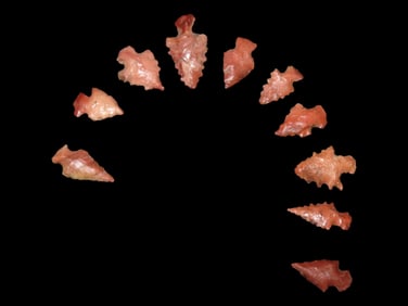 Grouping of 10 Beautiful Bird Points found in Southern Illinois, Great Colorful Examples!