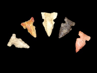 Grouping of 5 Bird Points found in Southern Illinois