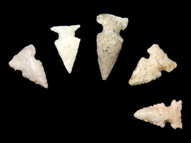 Grouping of 5 Bird Points found in Southern Illinois