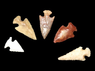 Grouping of 5 Bird Points found in Southern Illinois