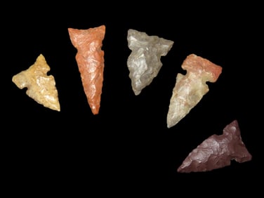 Grouping of 5 Bird Points found in Southern Illinois