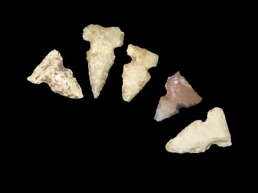 Grouping of 5 Bird Points found in Southern Illinois