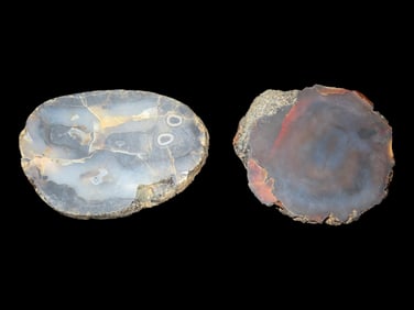 Set of 2 Sliced and Polished Agate Specimens