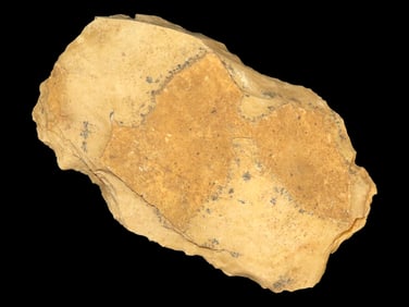 5 3/4'' Mill Cheek. Chert Spade/Hoe Jackson Co IL.