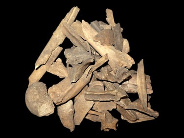 Very Unique Selection of Hopewell Bone Found in Trash Pits in Brown Co IL By John Kunkle.