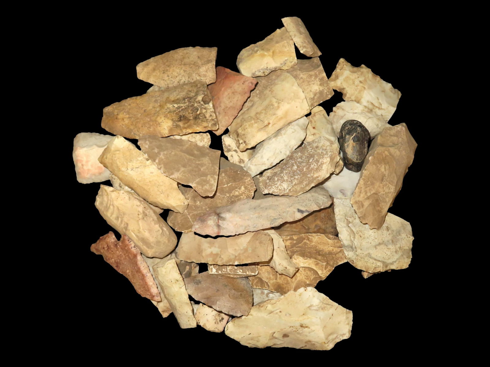 Cigar Box Full of Arrowheads Marked 1972.: Cigar Box Full of Arrowheads Marked 1972.