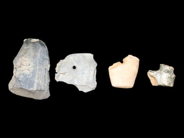 Lot of Broken Gorget Pcs.