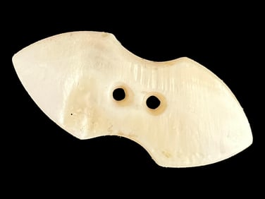 2 3/16" Shell Gorget, Motley COA, Found In The Midwest