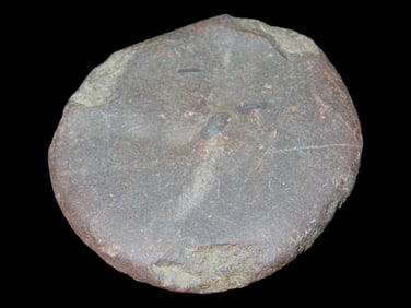 2 3/8' Game Stone, Found By Gary Nelson In Van Buren Co IA