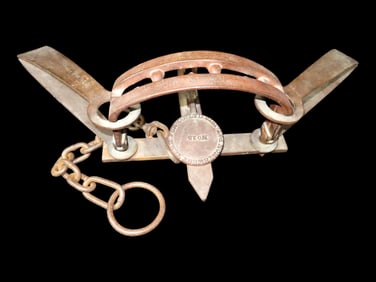 Antique Bear Trap, Large Northwest Territory Fur Co. LTD 1876 Bear Trap 27 1/4' x 13'