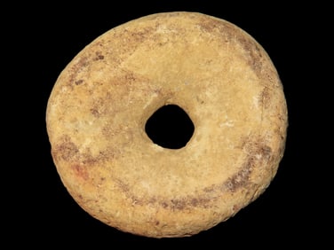 2 1/2' Perforated Discoidal, Warren Co. MO Near Wright City