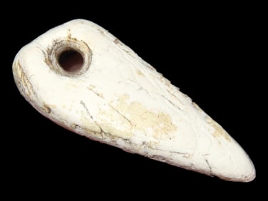 7/8' Effigy Shell Tooth, TN
