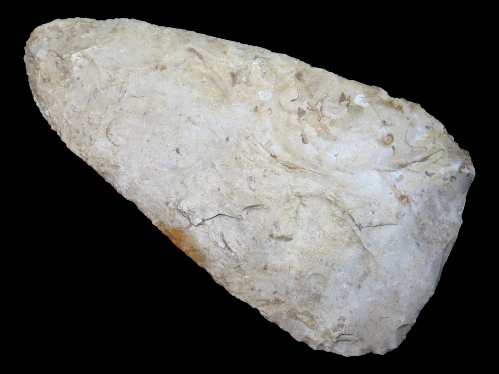 4 3/4" Cobbs Blade, Motley COA, IA, Ex Brosie (1 of 7)