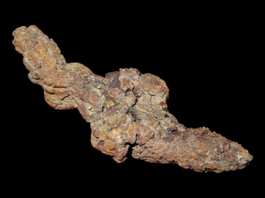 3 1/4' 100 million years old Fossilized Coprolite Dinosaur Poop