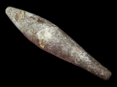 5 3/8' California Charm Plummet, CA, Found by Gary Nelson's Brother